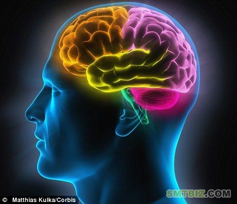 高度复杂:科学家们认为,人类的大脑已经达到了进化的极限,无法进一步进化了 高度复杂:科学家们认为,人类的大脑已经达到了进化的极限,无法进一步进化了